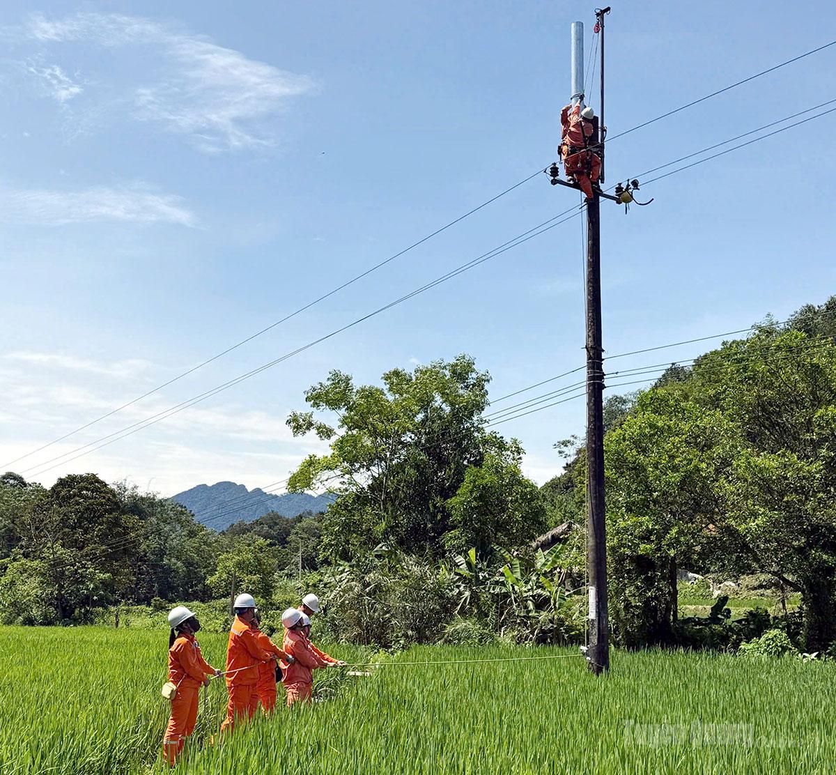  Công ty 
Điện lực Tuyên Quang sửa chữa đường dây 
tải điện.