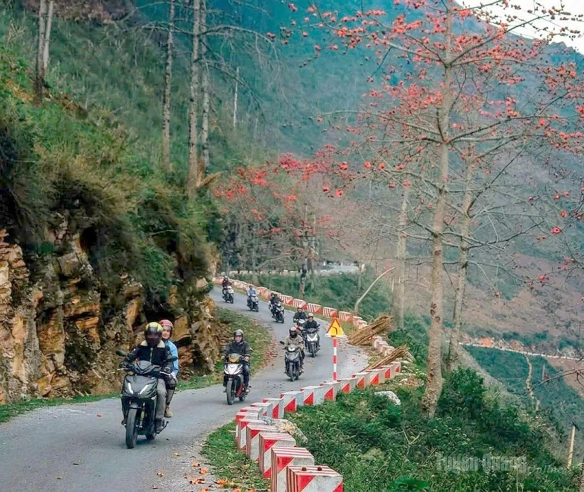 In March, the vibrant red blossoms of kapok trees brighten the roads leading to Du Gia.