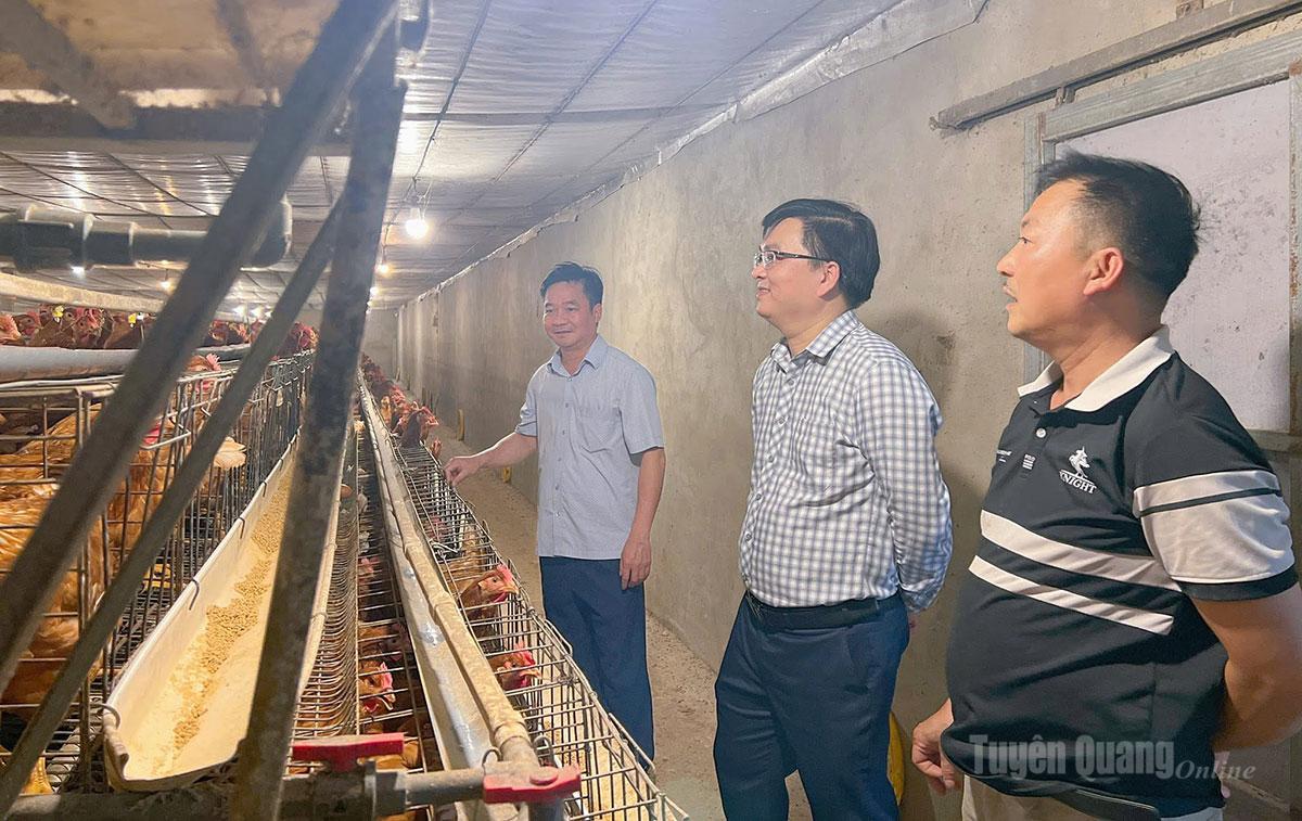 Lãnh đạo xã Kim Bình nắm tình hình phát triển kinh tế hộ trên địa bàn xã.