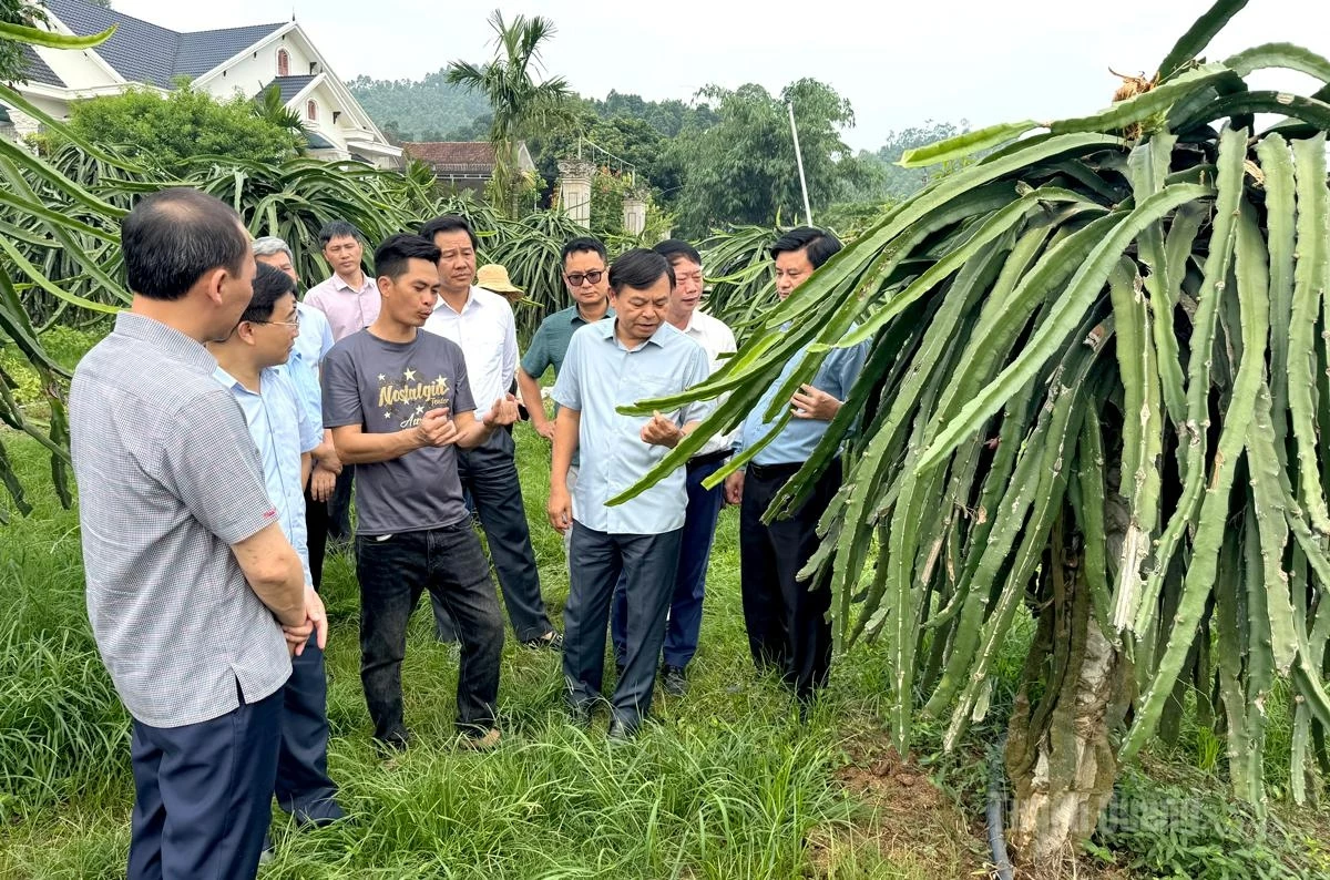 A provincial steering committee delegation inspects the disbursement progress of National Target Program funds in Tuyen Quang.