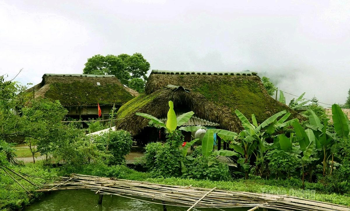 Some traditional houses, 20 to 30 years old, are now richly covered in moss.