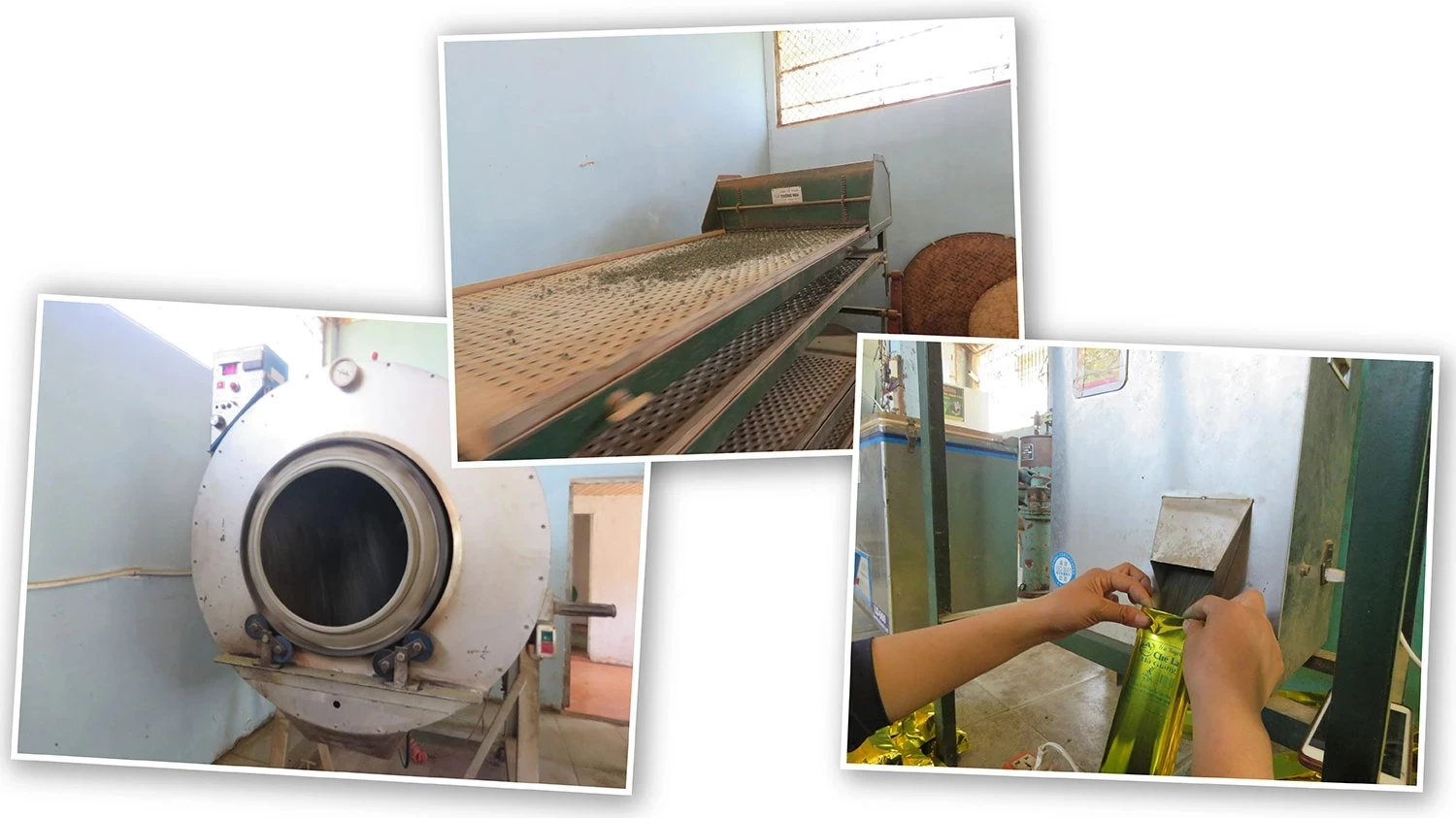 Investment in processing machinery has helped stabilize product quality and build the Che La Snow Tea brand.