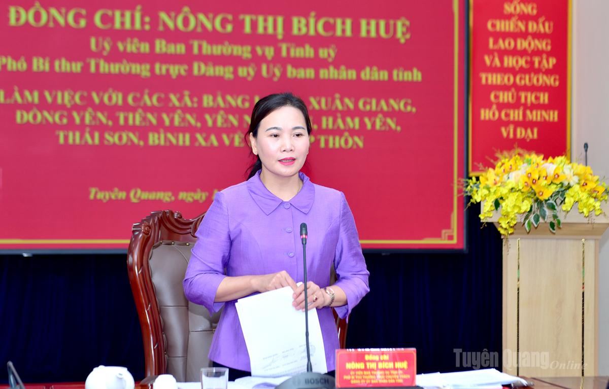 Phó Bí thư Thường trực Đảng ủy UBND tỉnh Nông Thị Bích Huệ kết luận buổi làm việc.