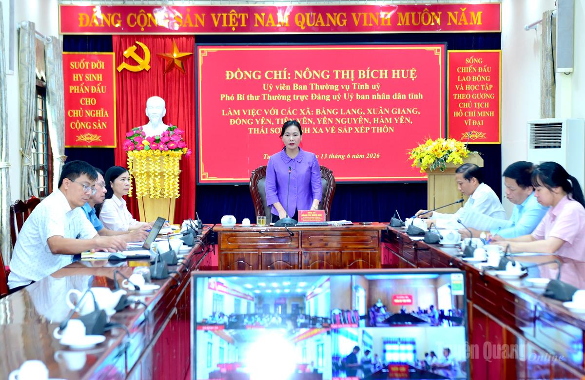 Phó Bí thư Thường trực Đảng ủy UBND tỉnh Nông Thị Bích Huệ chủ trì buổi làm việc.