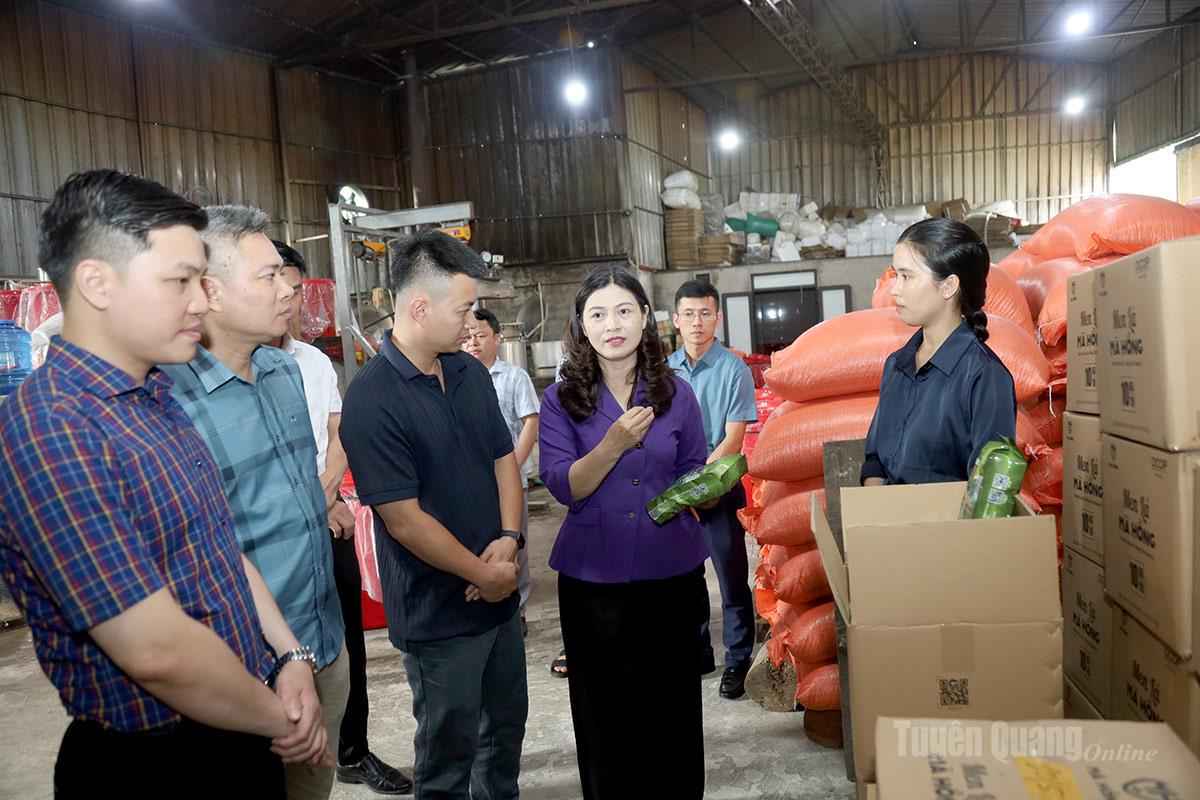 Phó Chủ tịch UBND tỉnh Vương Ngọc Hà thăm HTX Nông nghiệp du lịch cộng đồng Thanh Vân (xã Quản Bạ).