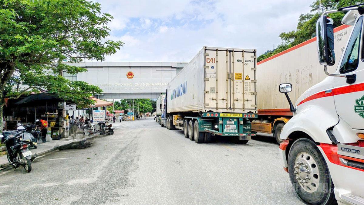 Lượng xe container chở mặt hàng sầu riêng xuất khẩu qua Cửa khẩu quốc tế Thanh Thủy tăng mạnh trong những ngày gần đây.