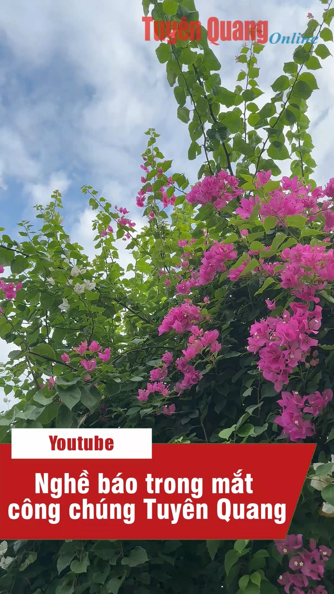 Nghề b&aacute;o trong mắt c&ocirc;ng ch&uacute;ng Tuy&ecirc;n Quang