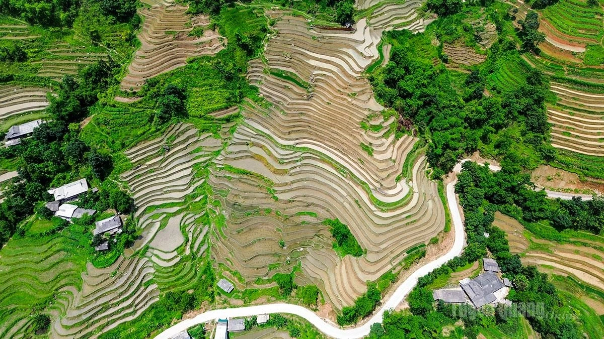 The winding terraces form the distinctive beauty of the Hoang Su Phi Terraced Rice Fields National Scenic Site.