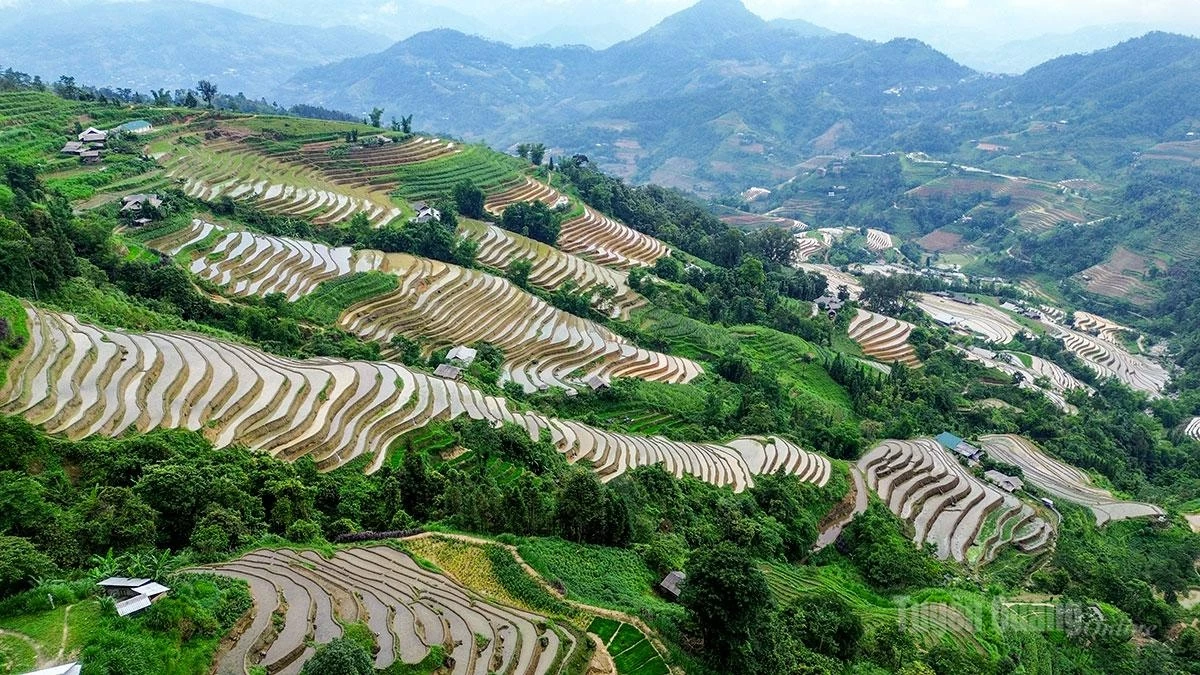The terraces stretch across the mountainsides, forming gentle curves amid the lush green forests.