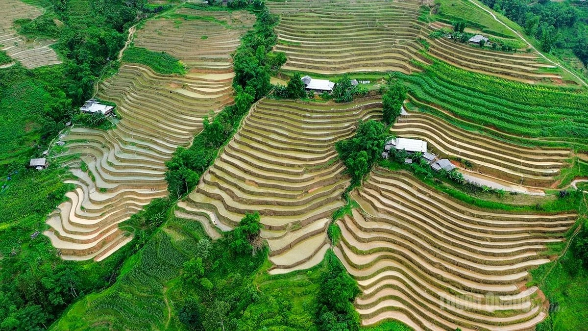 Carefully constructed embankments reflect generations of farming knowledge passed down among local communities.