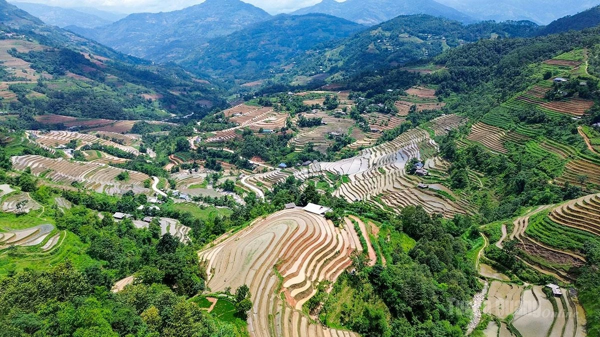 From above, the terraces resemble soft ribbons embracing the mountain slopes.