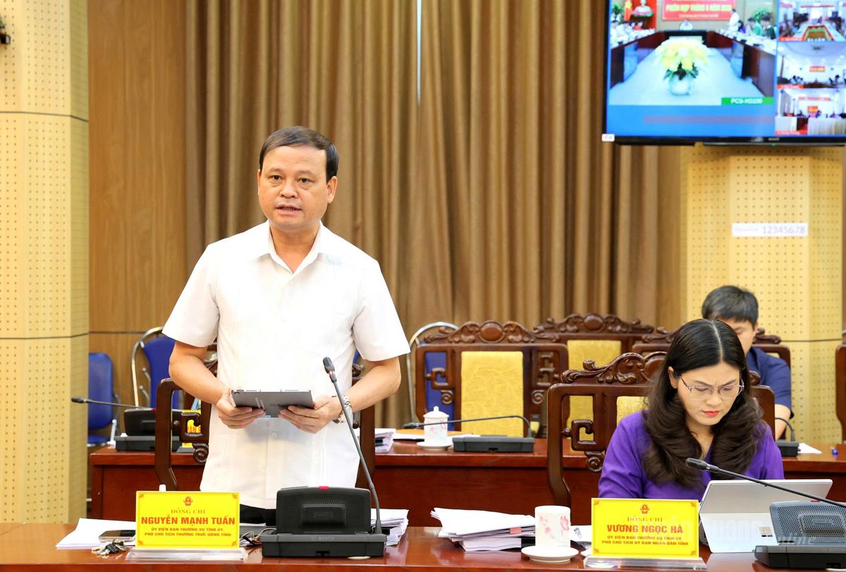Đồng chí Nguyễn Mạnh Tuấn, Ủy viên Ban Thường vụ Tỉnh ủy, Phó Chủ tịch UBND phát biểu tại phiên họp.