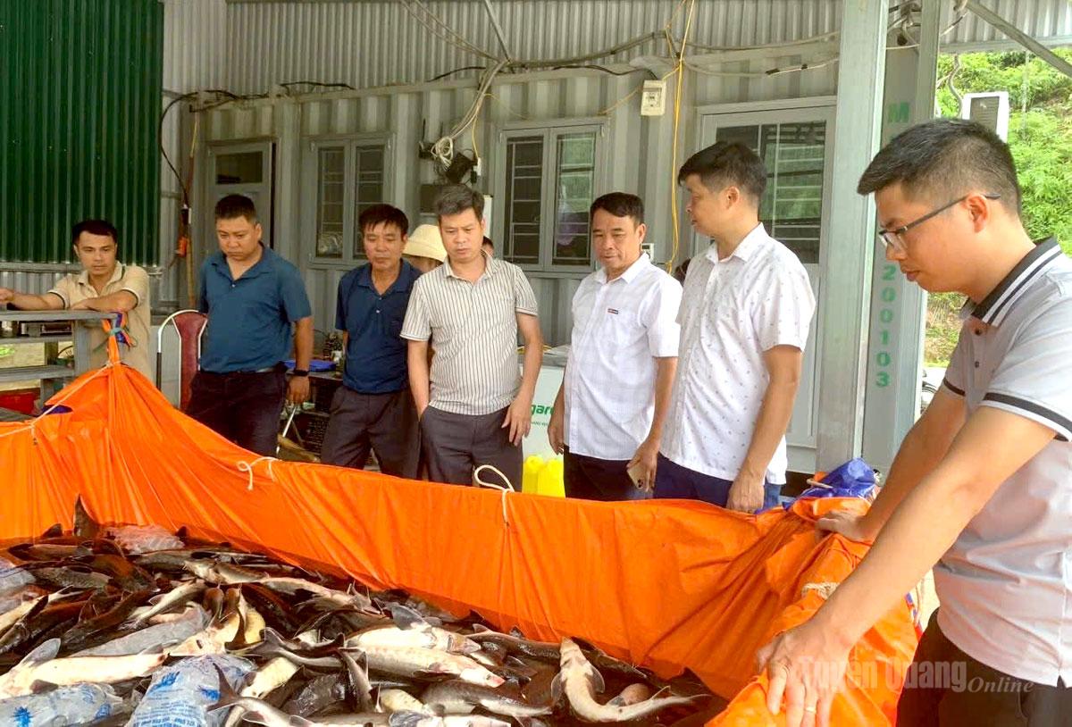 Cán bộ và chủ cơ sở đưa cá bị ngạt về để lấy mẫu phân tích.