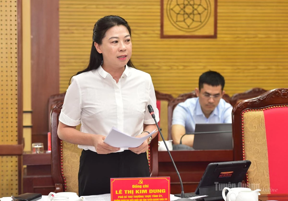Đồng chí Phó Bí thư Thường trực Tỉnh ủy, Trưởng Đoàn ĐBQH tỉnh Lê Thị Kim Dung phát biểu thảo luận.
