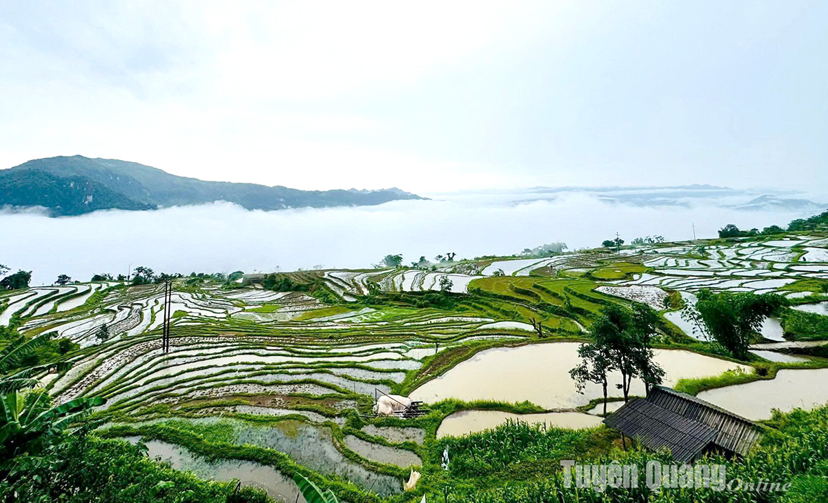  Mùa nước đổ ở Hồng Thái 
là bức tranh giữa lao động 
và thiên nhiên.