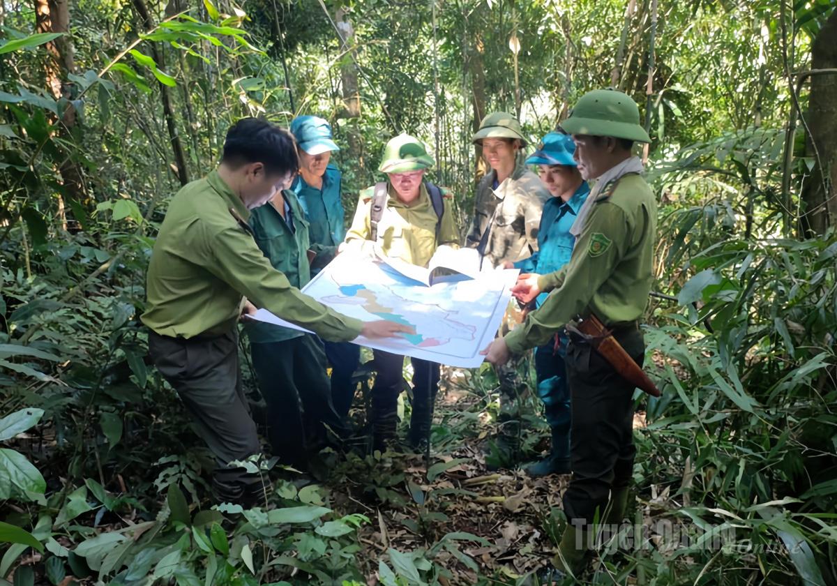 Local residents, together with forest rangers, regularly patrol the forests.