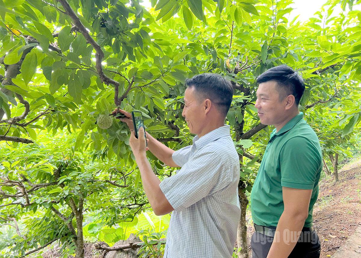 Người dân Khuôn Thống tự tin livestream bán nông sản, tăng thu nhập cho gia đình.