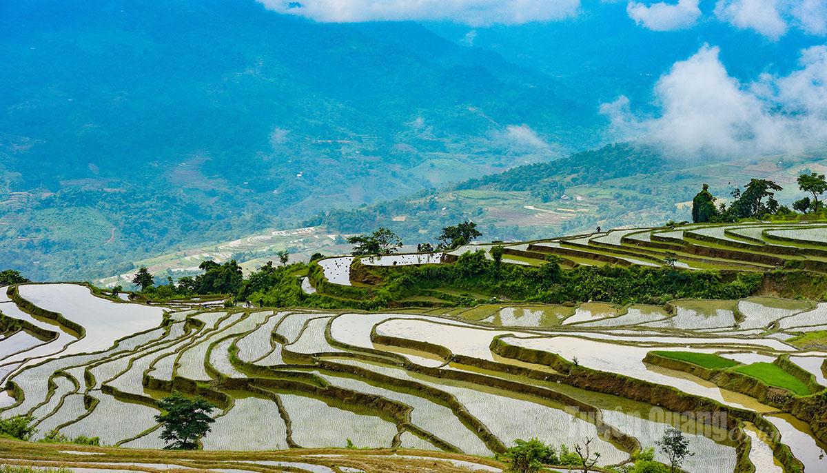 Thời điểm này, khắp các xứ đồng, người dân đang bắt đầu cấy lúa vụ mùa.