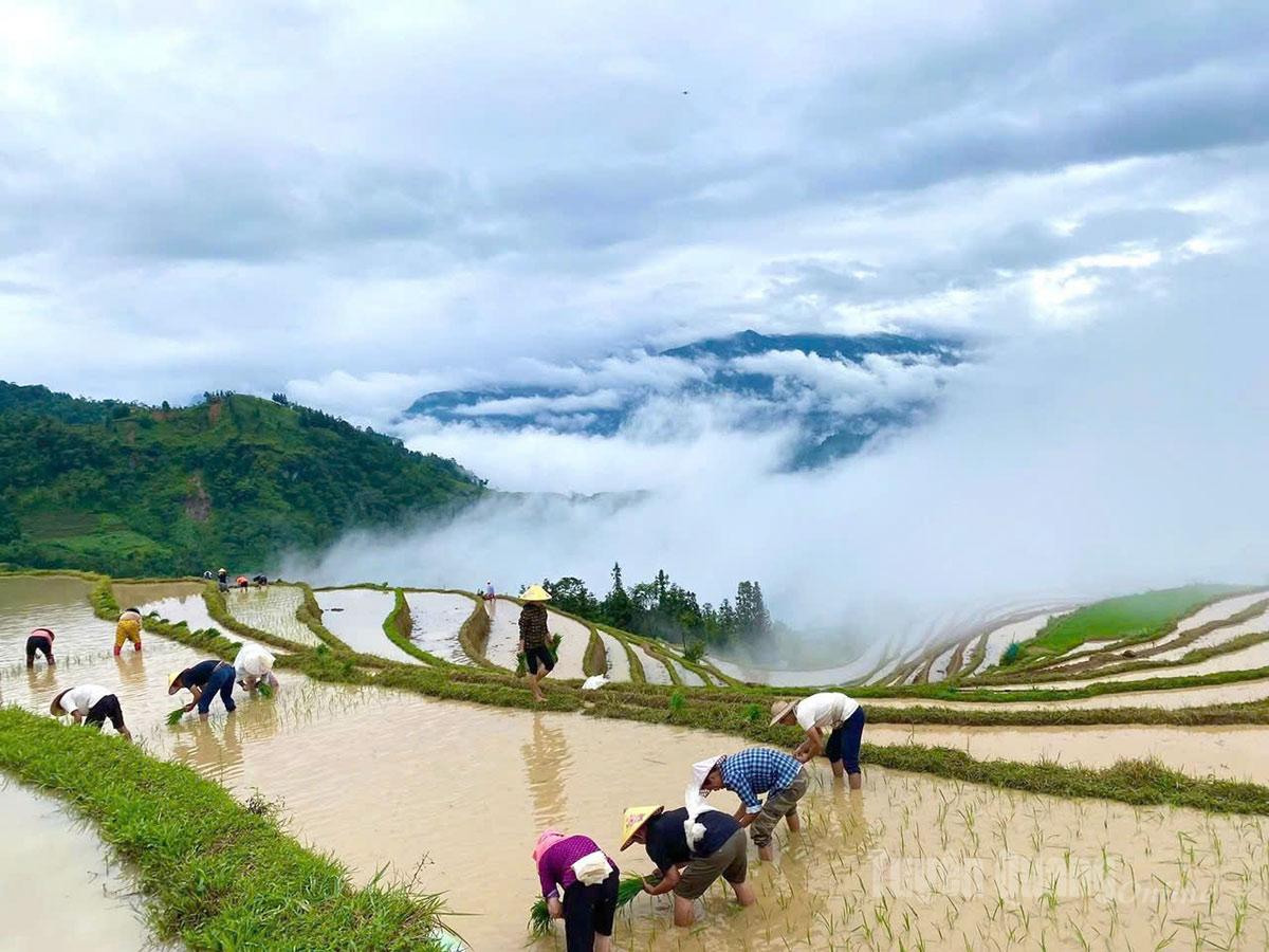 Thời điểm này, những thửa ruộng bậc thang được đổ đầy nước, tạo nên bức tranh đẹp mắt.