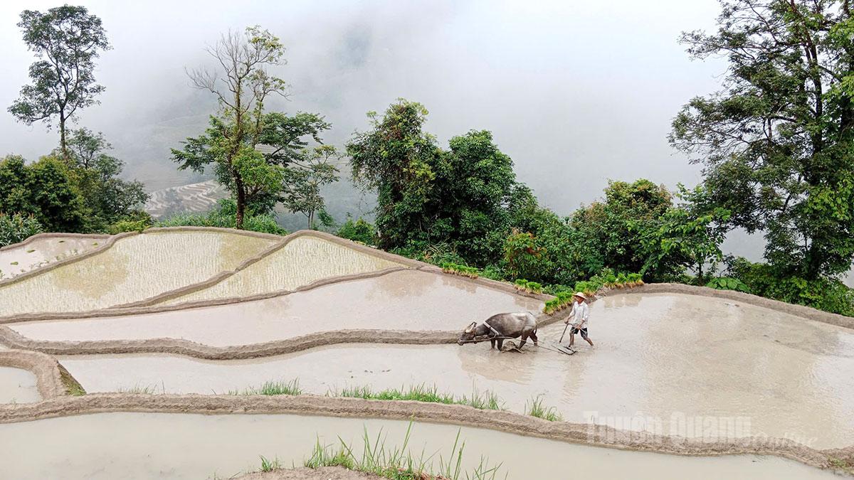 Những thửa ruộng nhỏ nên người dân phải làm đất bằng phương pháp thủ công.