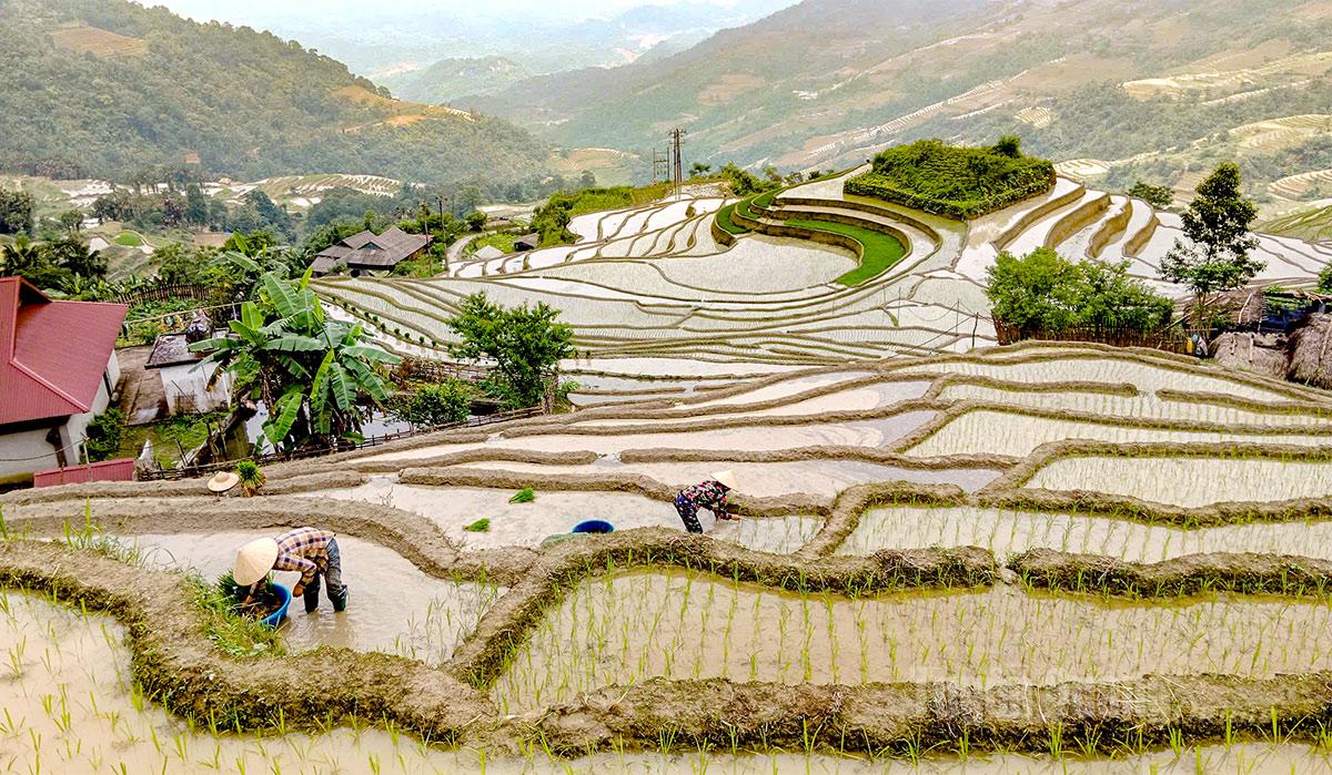 Những thửa ruộng bậc thang nơi rẻo cao mùa này như những chiếc gương phản chiều khổng lồ.