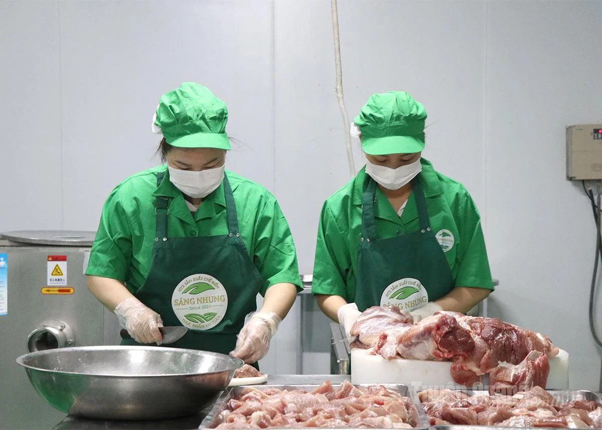 Công nhân xử lý sản phẩm thịt lợn thảo dược Sáng Nhung toàn bộ trên khay inox đảm bảo vệ sinh an toàn thực phẩm.