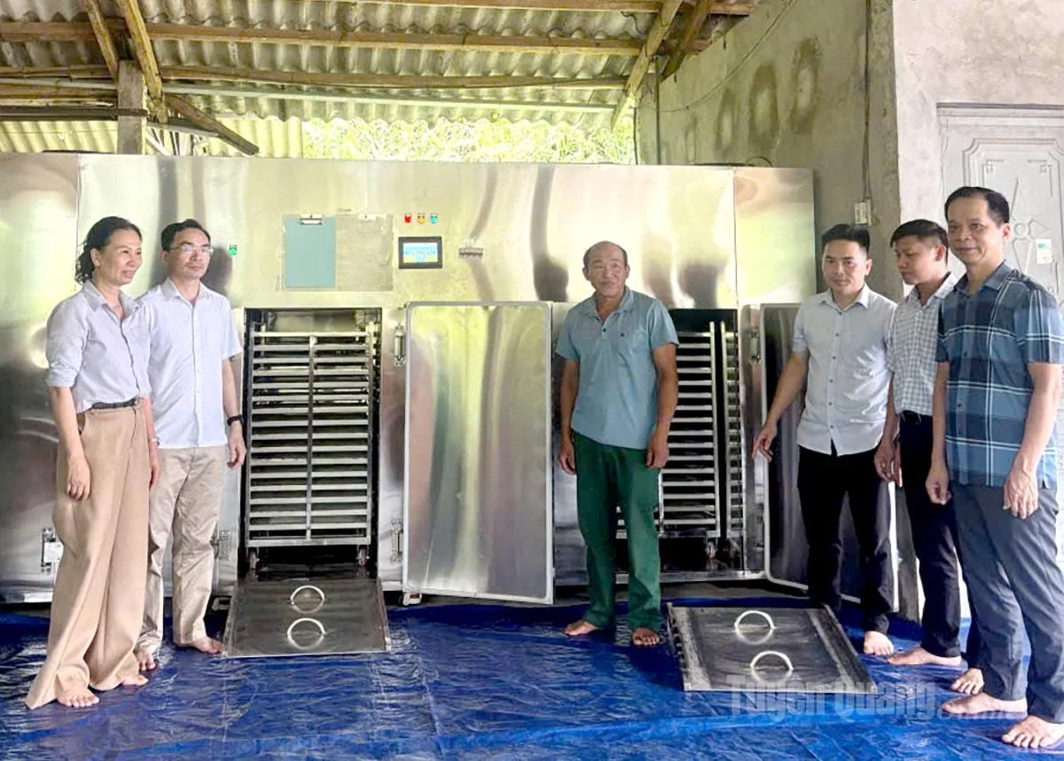 HTX Beli Pà Thẻn – Beli Tân Lập Xanh được hỗ trợ từ nguồn vốn khuyến công quốc gia để ứng dụng máy móc vào sản xuất.