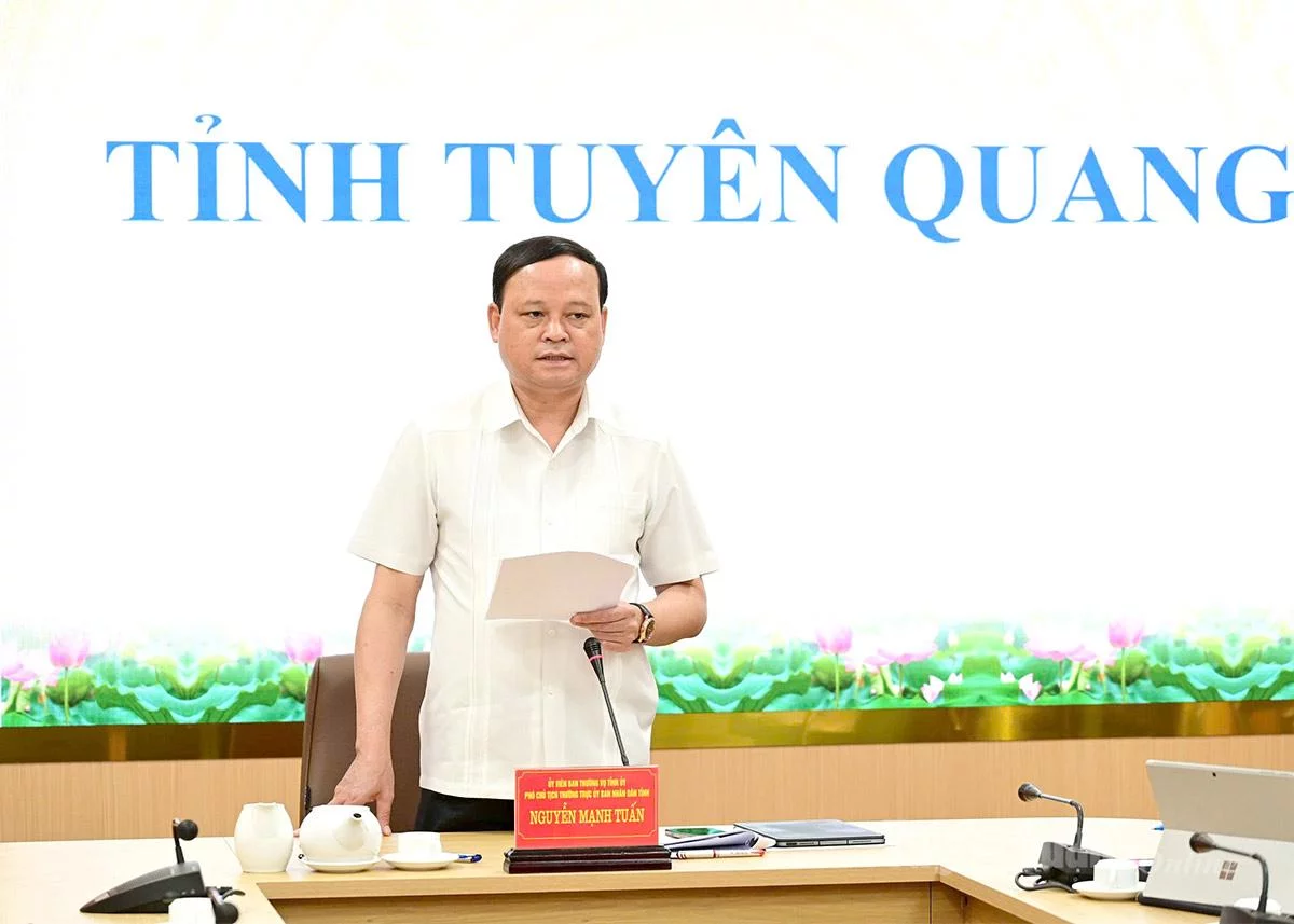 Đồng chí Nguyễn Mạnh Tuấn, Ủy viên Ban Thường vụ Tỉnh ủy, Phó Chủ tịch UBND tỉnh phát biểu tại cuộc họp.