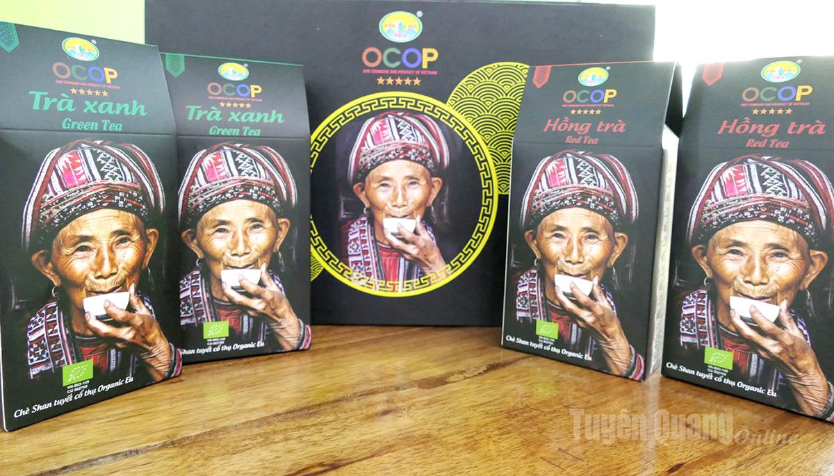 Sản phẩm của Hợp tác xã Chế biến Chè Phìn Hồ đạt OCOP 5 sao cấp quốc gia.