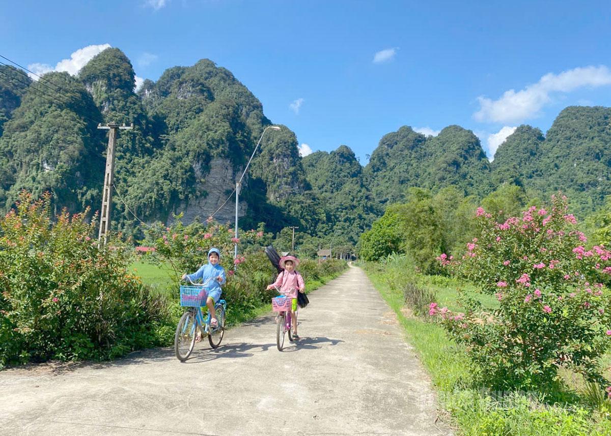 Một tuyến đường hoa do đảng viên và Nhân dân thôn Nà Thuôn thực hiện.