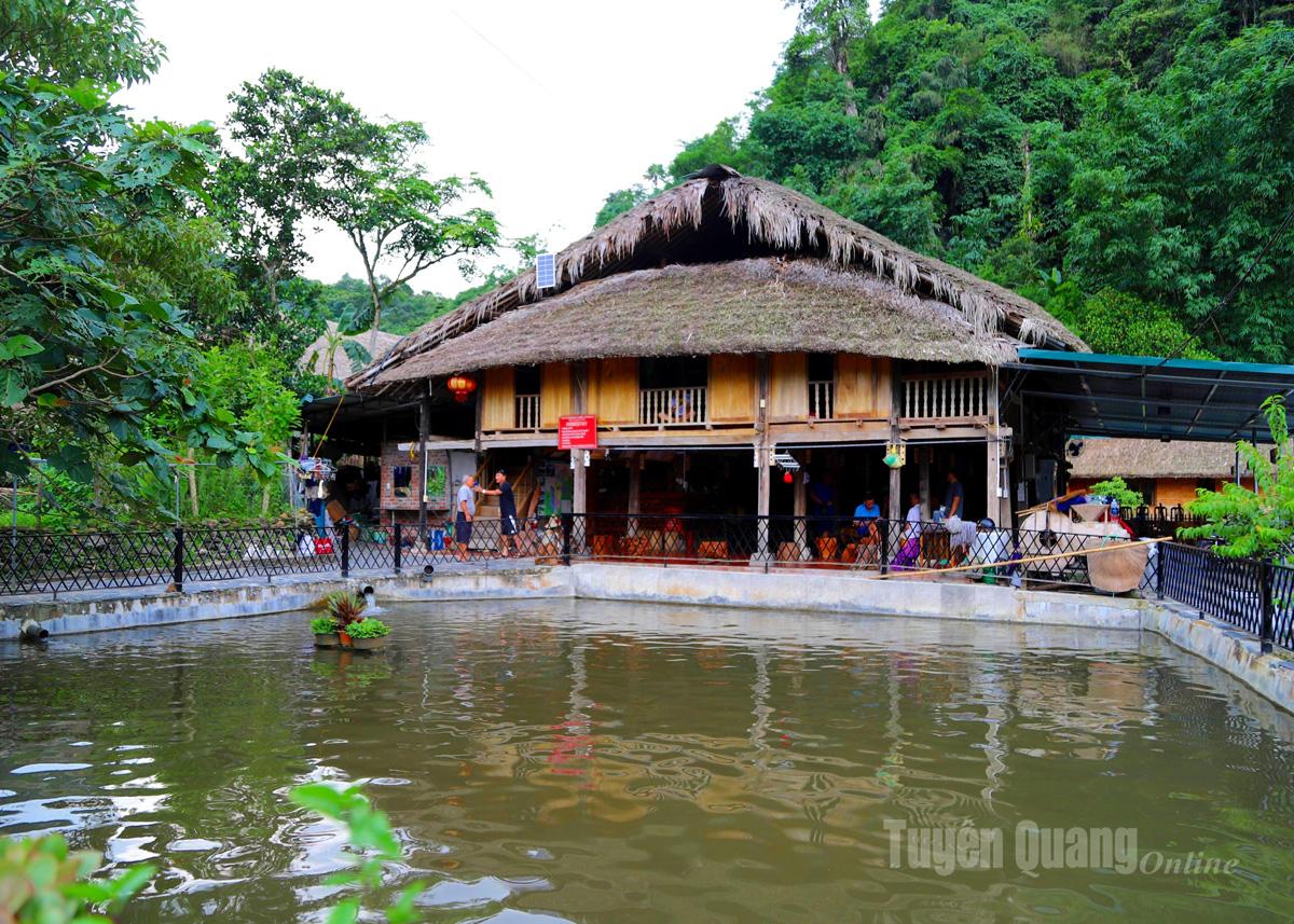 Cậy’Homestay có không gian xanh mát, gần gũi thiên nhiên.