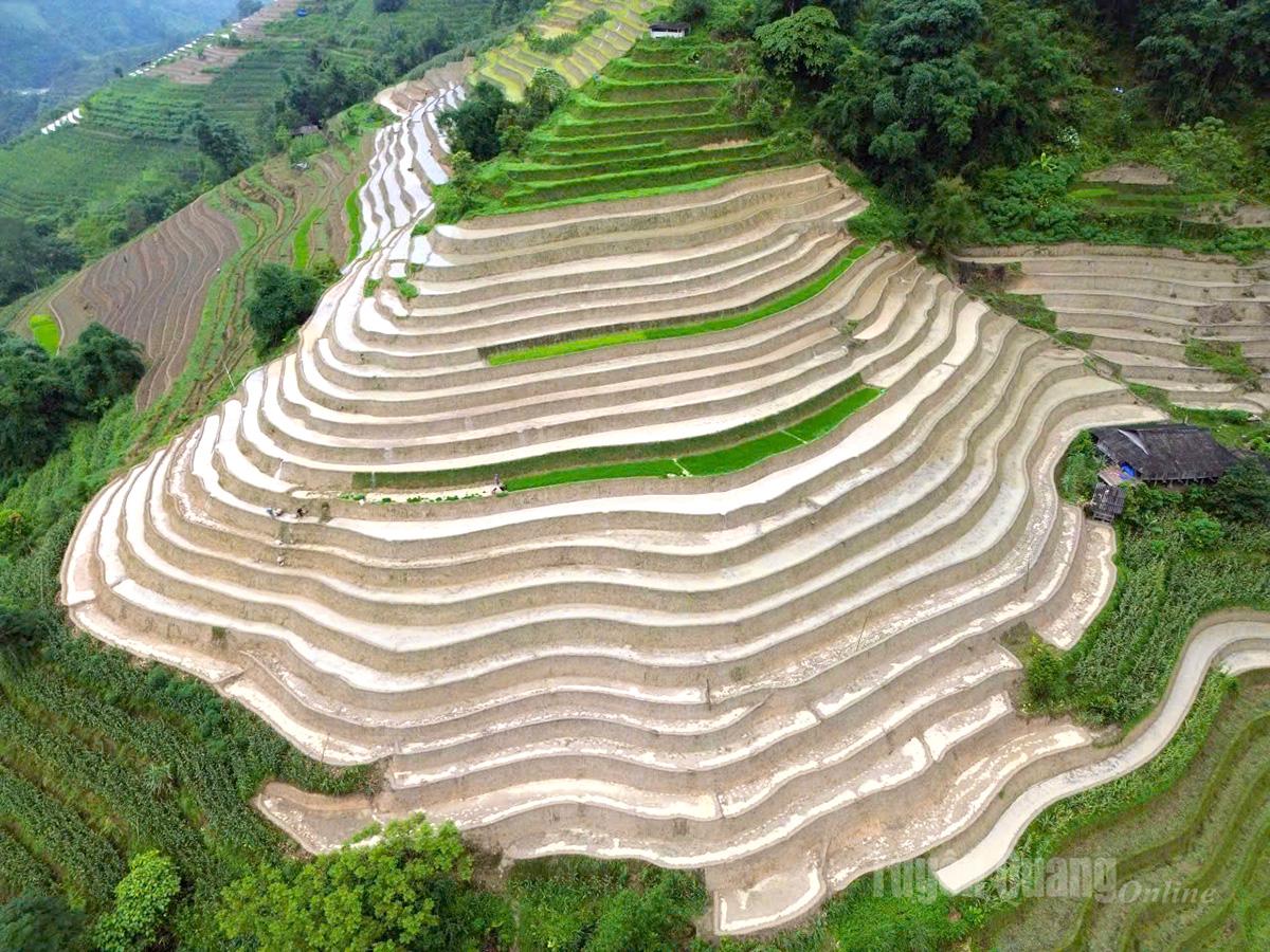 The steep mountain slopes have been meticulously carved into elegant tiers of rice paddies.