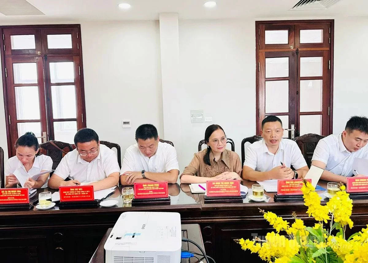 The delegation of Shaanxi Construction and Installation Group Co., Ltd. discussed investment cooperation opportunities in Tuyen Quang province.