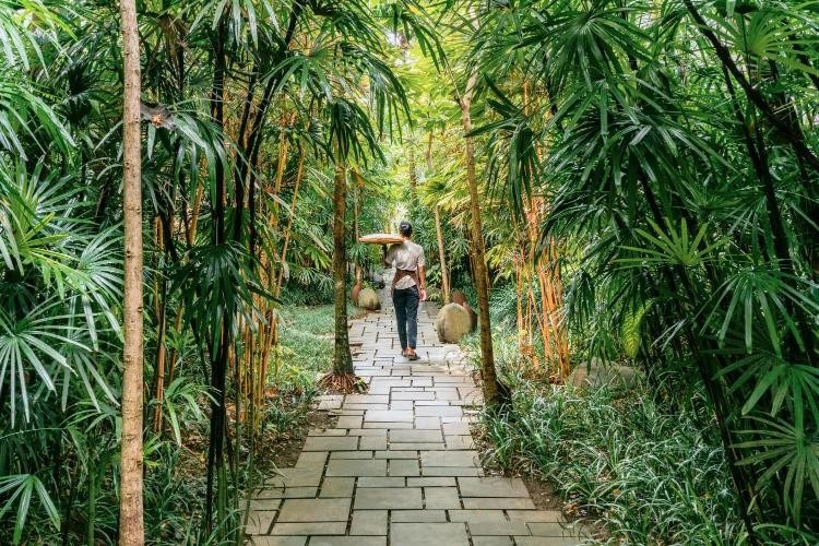 Ubud, Indonesia. Ảnh: Booking.com