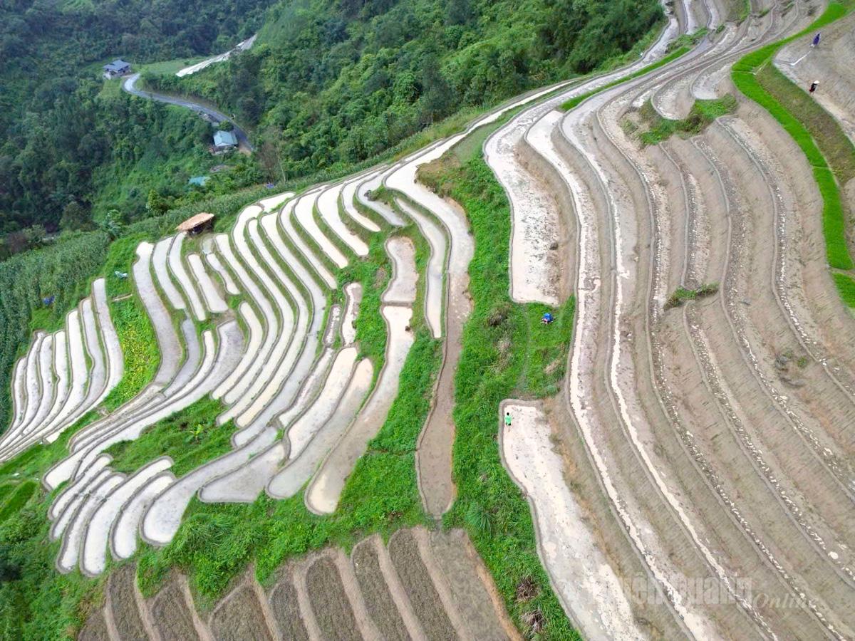 As afternoon falls over the borderlands of Lao Chai, the water-filled terraces shimmer like undulating musical staves, echoing with the rhythm of mountain life.