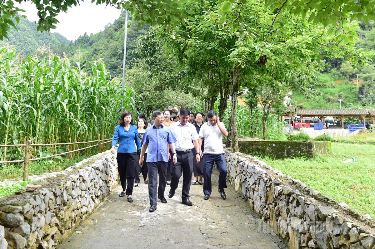 The delegation surveyed Lung Cam cultural tourism village to assess its current development and tourism potential.