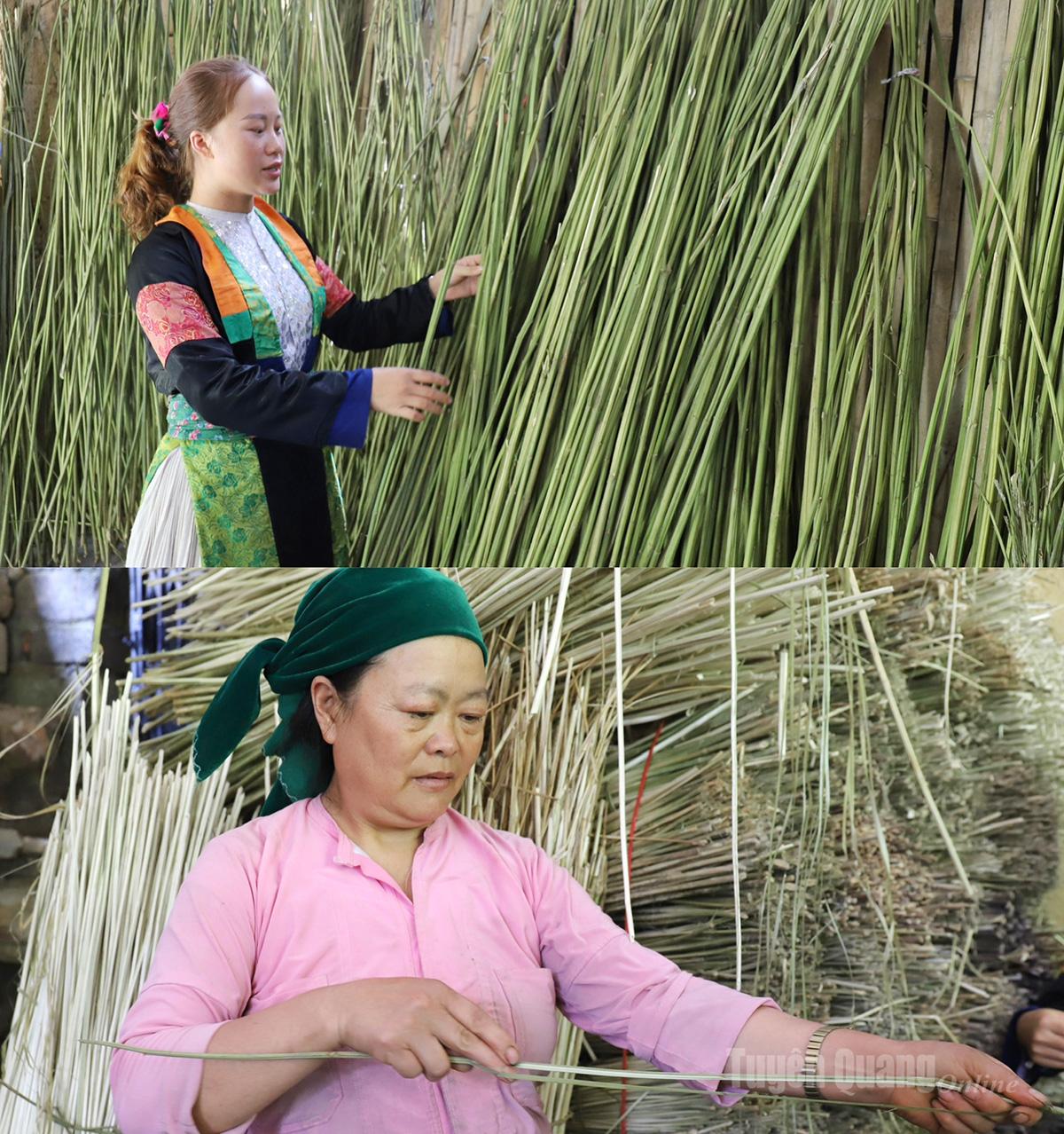 After being harvested, flax plants are sun-dried. They are then stripped to extract linen fibers – the primary material used in traditional linen weaving.