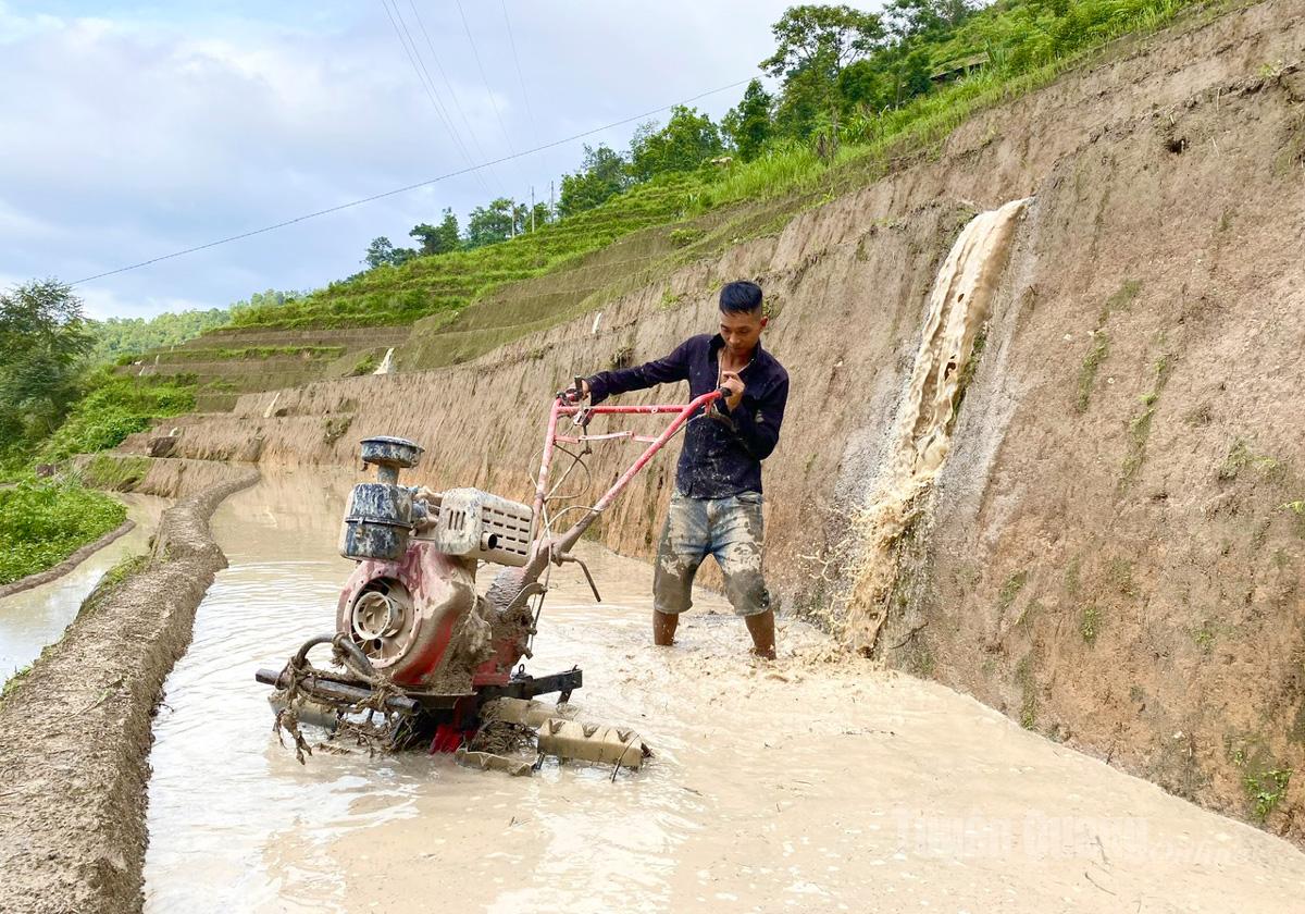 Fed by forest rains, the land is softened as villagers toil the earth, readying it for a rich and golden harvest.