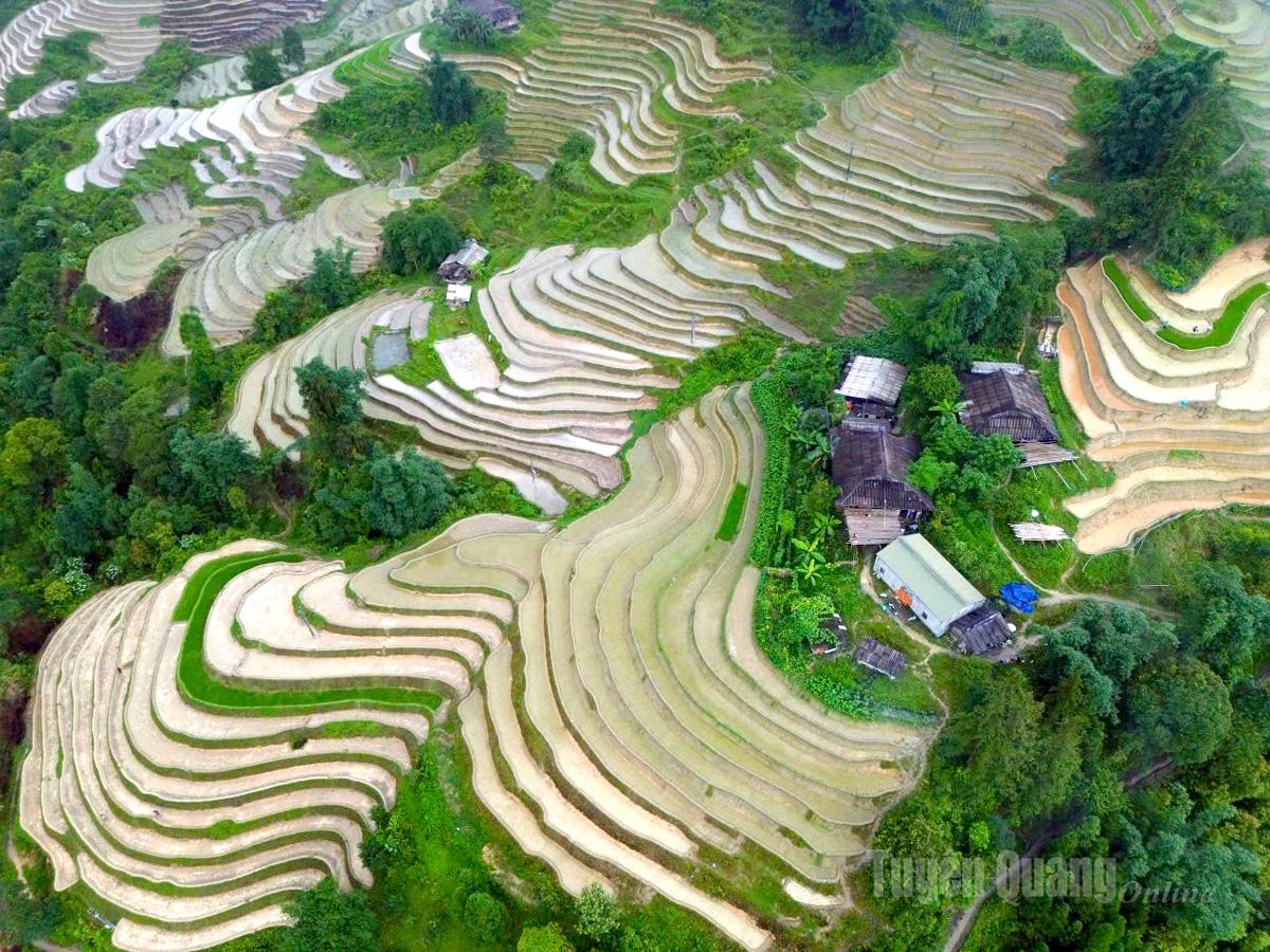 Stunning terraced fields in Lao Chai – an indispensable destination for tourists.