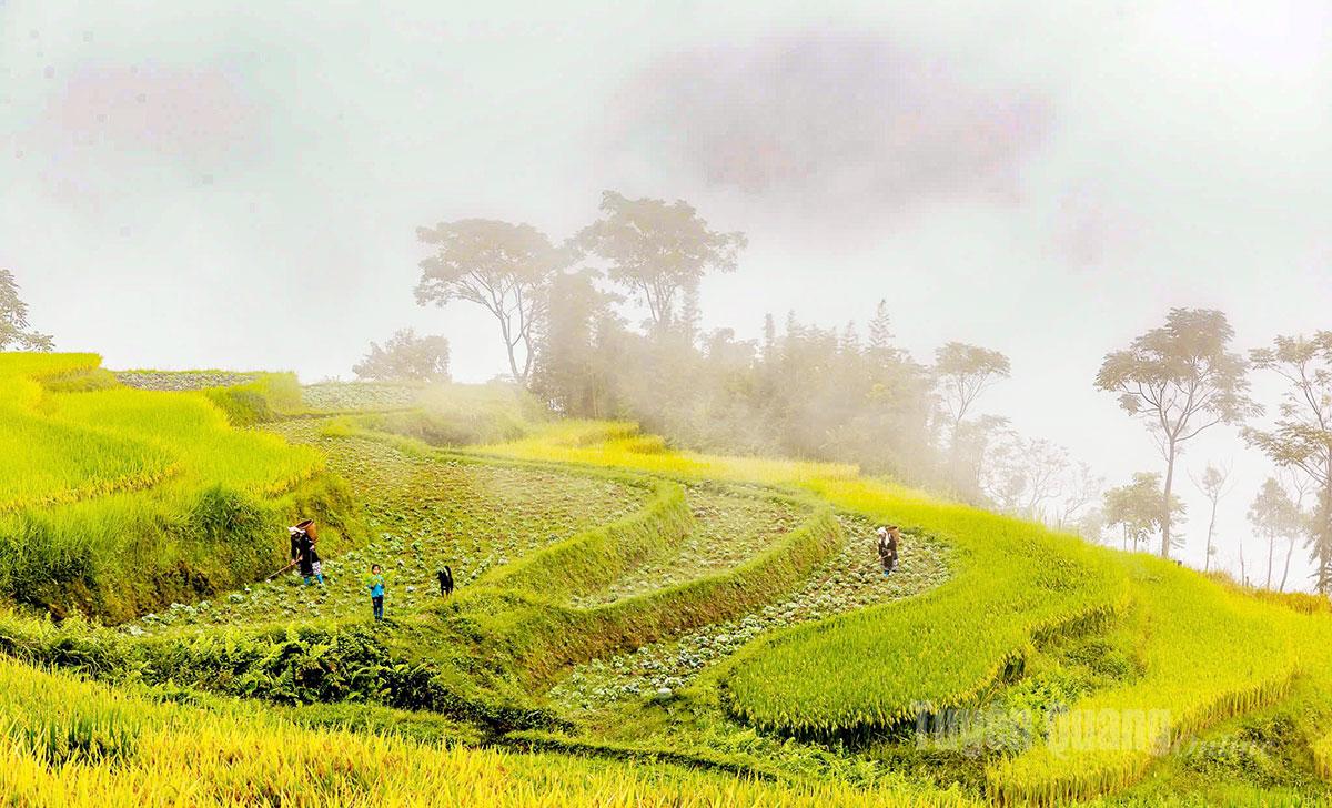 Với bốn mùa quanh năm, Hồng Thái chìm trong biển mây.