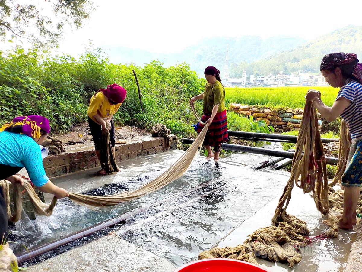 To achieve a smooth, white finish, the flax threads are repeatedly boiled with kitchen ash and then washed. This boiling and washing process is typically done three to four times until the desired level of whiteness is reached.