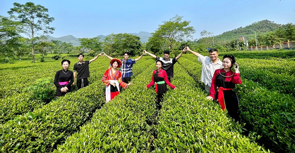 Du khách có nhiều lựa chọn khi đến với Tuyên Quang.