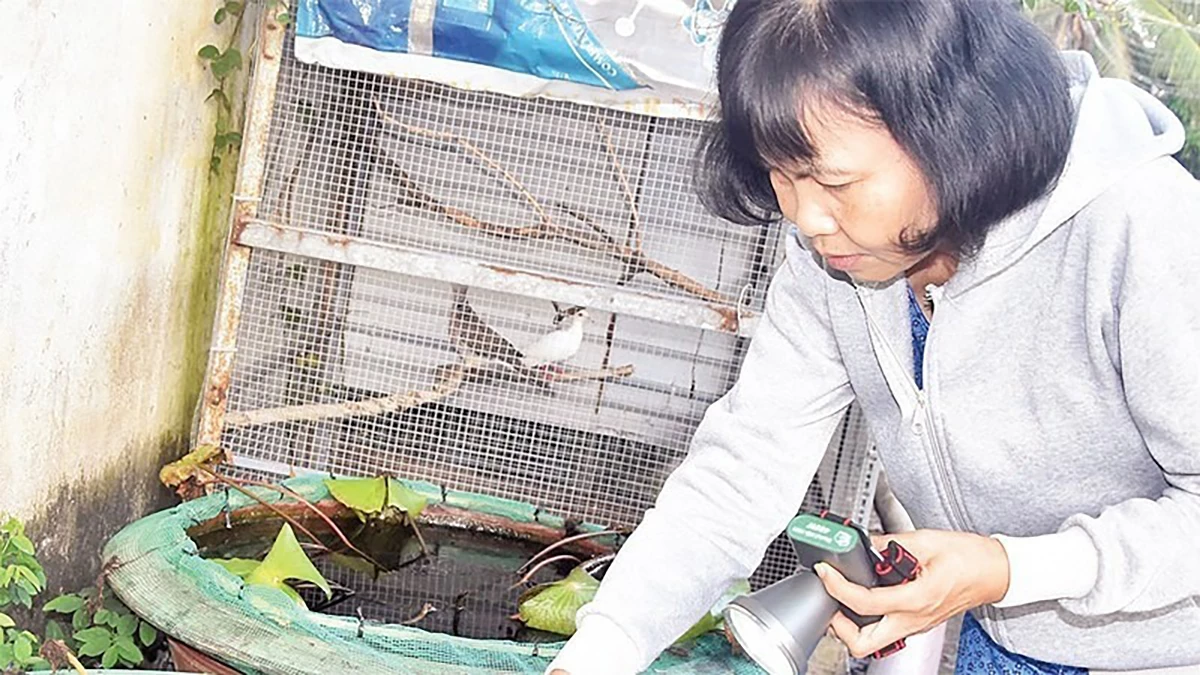 Biện pháp phòng bệnh sốt xuất huyết hiệu quả nhất vẫn là diệt muỗi, diệt lăng quăng/bọ gậy và tránh muỗi đốt. 