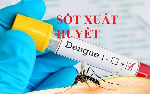 Thủ tướng yêu cầu tăng cường phòng, chống bệnh sốt xuất huyết.