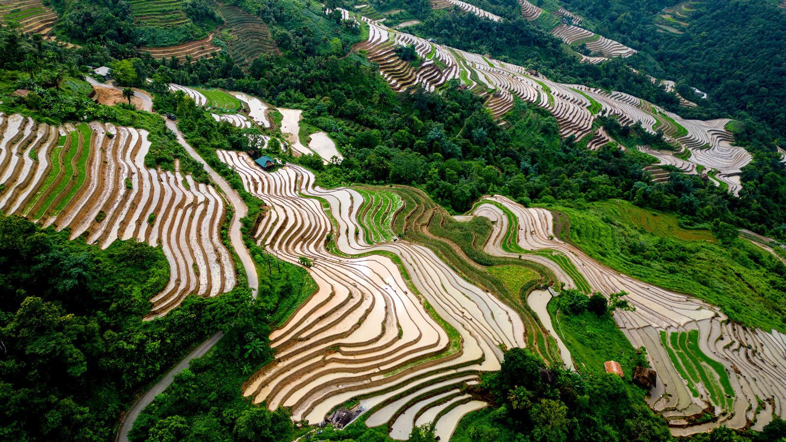 The terraced fields glisten with freshly poured water.