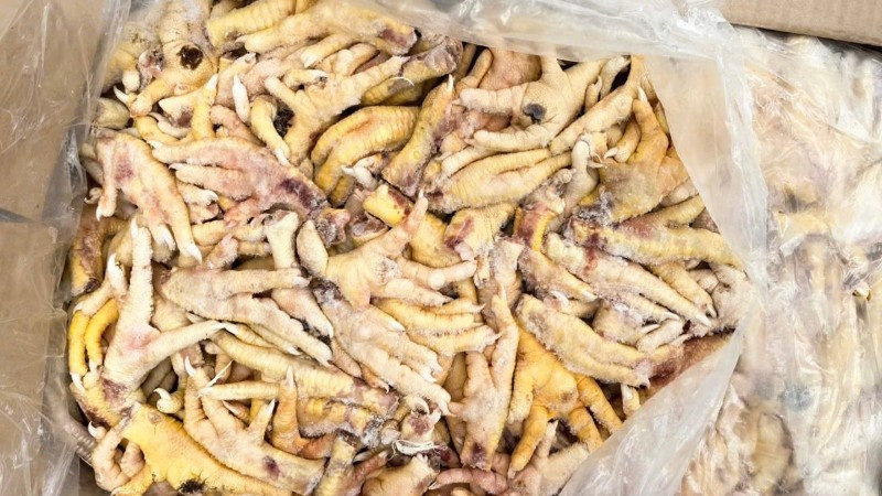 Khởi tố vụ án xuất khống 1.400 tấn nguyên liệu chân gà đông lạnh, trốn thuế hơn 7 tỷ đồng và có dấu hiệu chuyển tiêu thụ nội địa không khai báo hải quan. (Ảnh: CHQ)