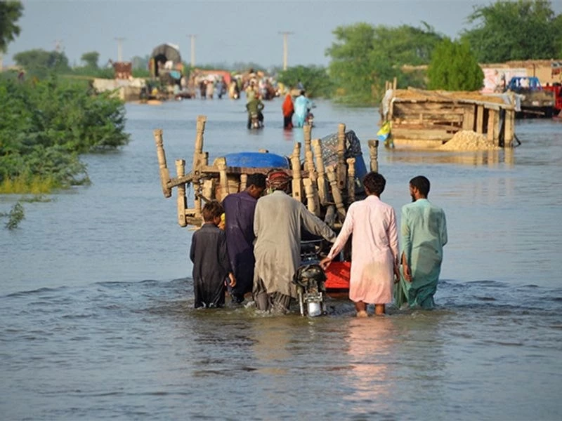Hơn 200 người thiệt mạng vì mưa gió tại Pakistan. Ảnh: Tribune India