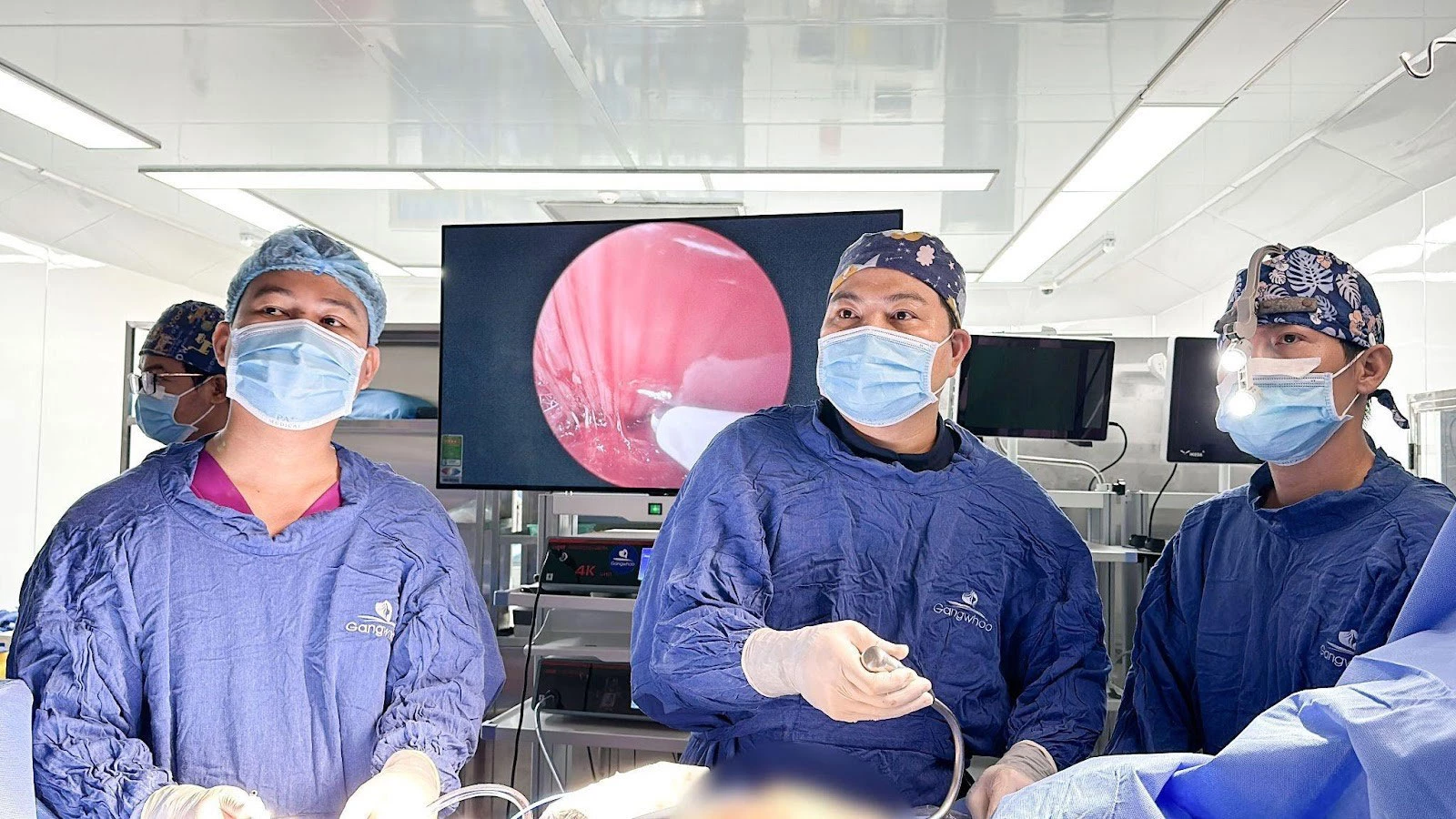 The team of doctors at Gangwhoo possesses in-depth expertise in plastic and cosmetic surgery