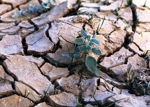 Central Asia has become one of the world’s most vulnerable regions in terms of water security. (Illustrative image/Photo: Xinhua)