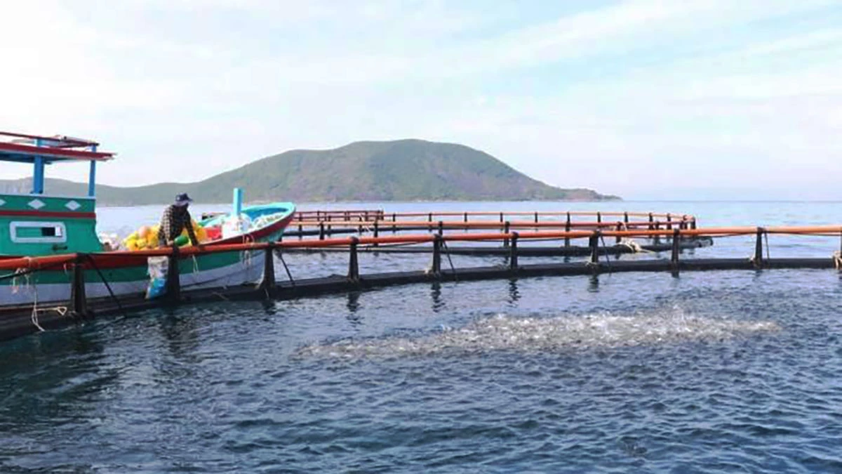 Tỉnh Khánh Hòa đang hỗ trợ ngư dân chuyển đổi lồng bè bằng vật liệu mới thân thiện, thích ứng biến đổi khí hậu.